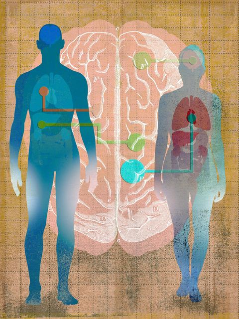 Illustration: Zwei menschliche Silhouetten mit Verbindungen zu einem Gehirn