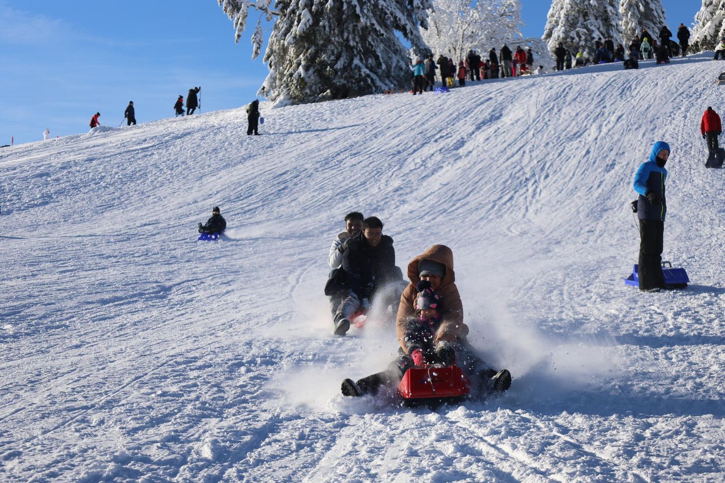 Rodelnde Kinder auf dem Feldberg bei blauem Himmel und Sonnenschein