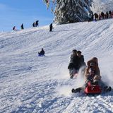 Rodelnde Kinder auf dem Feldberg bei blauem Himmel und Sonnenschein