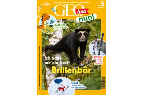 GEOlino Mini 01/2026: Brillenbär