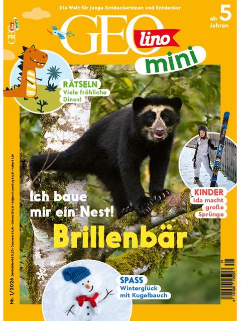GEOlino Mini 01/2026: Brillenbär