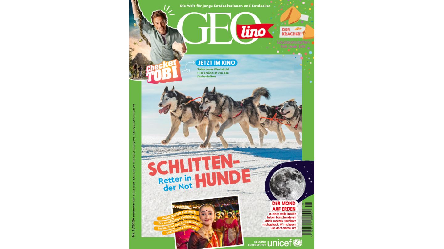 GEOlino-Schlittenhunde
