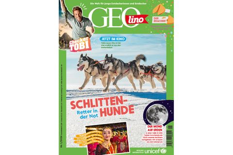 Cover GEOlino 01/2026: Schlittenhunde