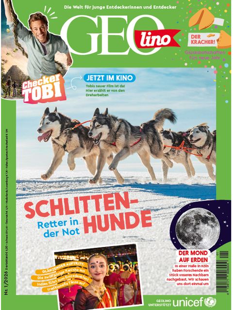 Cover GEOlino 01/2026: Schlittenhunde
