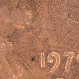 Weil er einzelne Körperzellen überwacht. Er gilt als kleinster seiner Art, ist mickrige 0,2 Millimeter lang. Forscher der Universitäten Michigan und Pennsylvania wollen den Roboter bald in Schwärmen einsetzen: Dank des Solarpanels auf seinem Rücken könnte er monatelang im Wasser schwimmen. Das Foto zeigt ihn neben den Zahlen auf einer Cent-Münze.   KW 02   