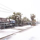 Verschneite Straße mit Palmen in Rimini