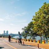 Das Ufer des Han-Flusses ist ein beliebter Ausflugsort für die Menschen in Seoul, die inmitten der Großstadt Natur erleben möchten. Entlang des Flusses liegen elf Parks, die viel Raum zum Spazieren, Radfahren oder Picknicken bieten. Die Tickets für eine rund 40‑minütige Schifffahrt gibt es schon für umgerechnet etwa 15 Euro vor Ort zu kaufen. An Bord genießen Sie die Aussicht auf die Stadt und die grünen Parks entlang des Flusses – ideal für eine kurze Auszeit von der wuseligen Metropole.