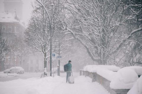 Winter 2026 in Hamburg