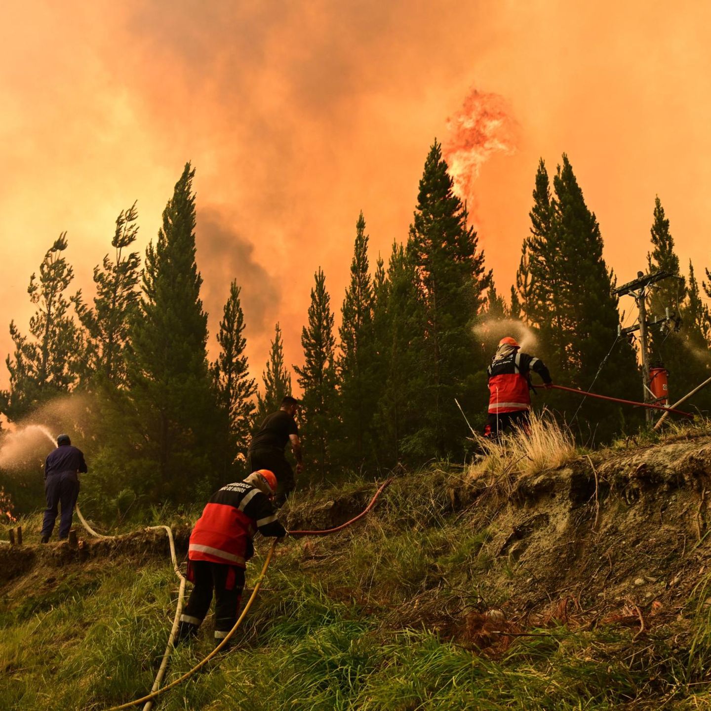 Patagonien: Schwere Umweltkrise durch Waldbrände trifft Argentinien