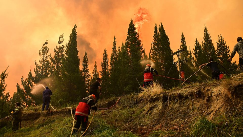 Patagonien: Schwere Umweltkrise durch Waldbrände trifft Argentinien