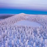 Oulanka National Park im Winter komplett verschneit