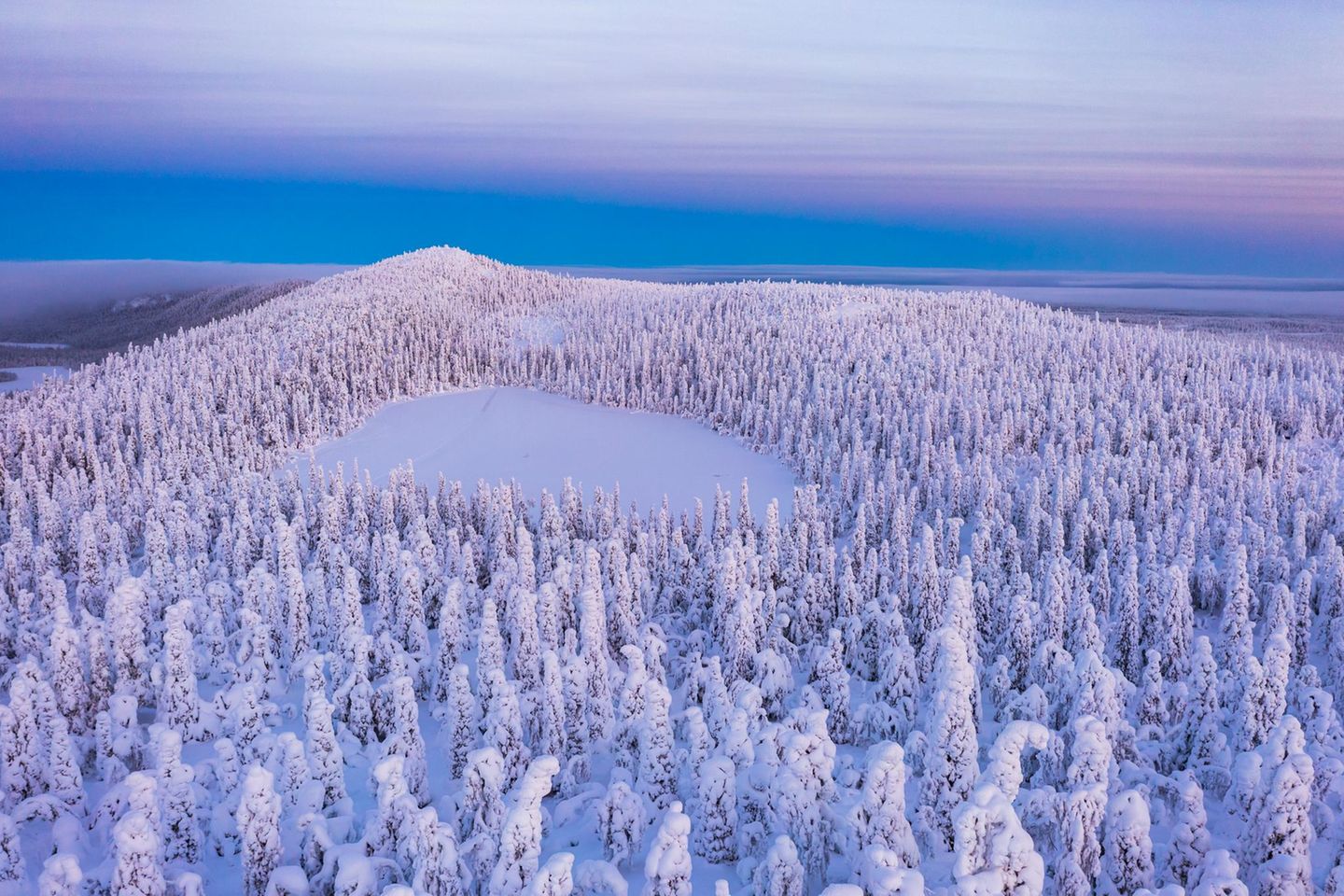 Oulanka National Park im Winter komplett verschneit