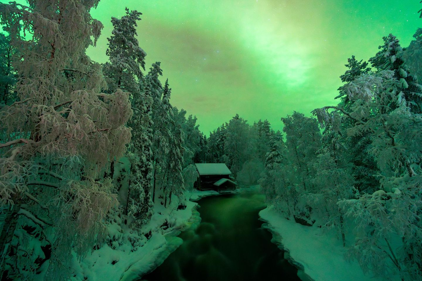 Nordlichter, Oulanka Nat. Park, Finnland