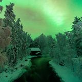 Nordlichter, Oulanka Nat. Park, Finnland