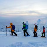 Schneeschuhwandern im Oulanka National-Park