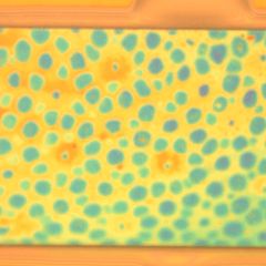 Robotik: Von Kraken inspiriert: Dieses Material kann Farbe und Textur blitzschnell ändern