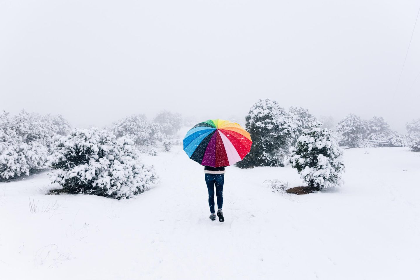 Mann mit Regenschirm im Schnee bei Schneefall
