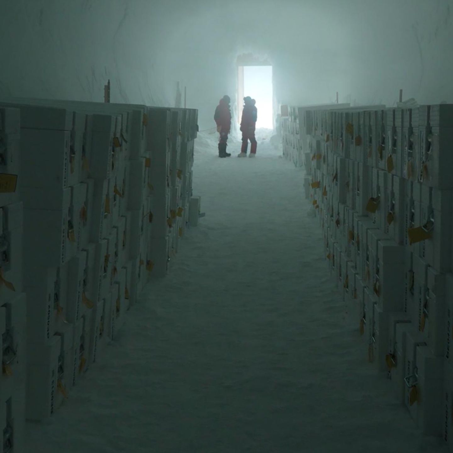 Archiv-Kammer in der Antarktis des Projektes Ice Memory