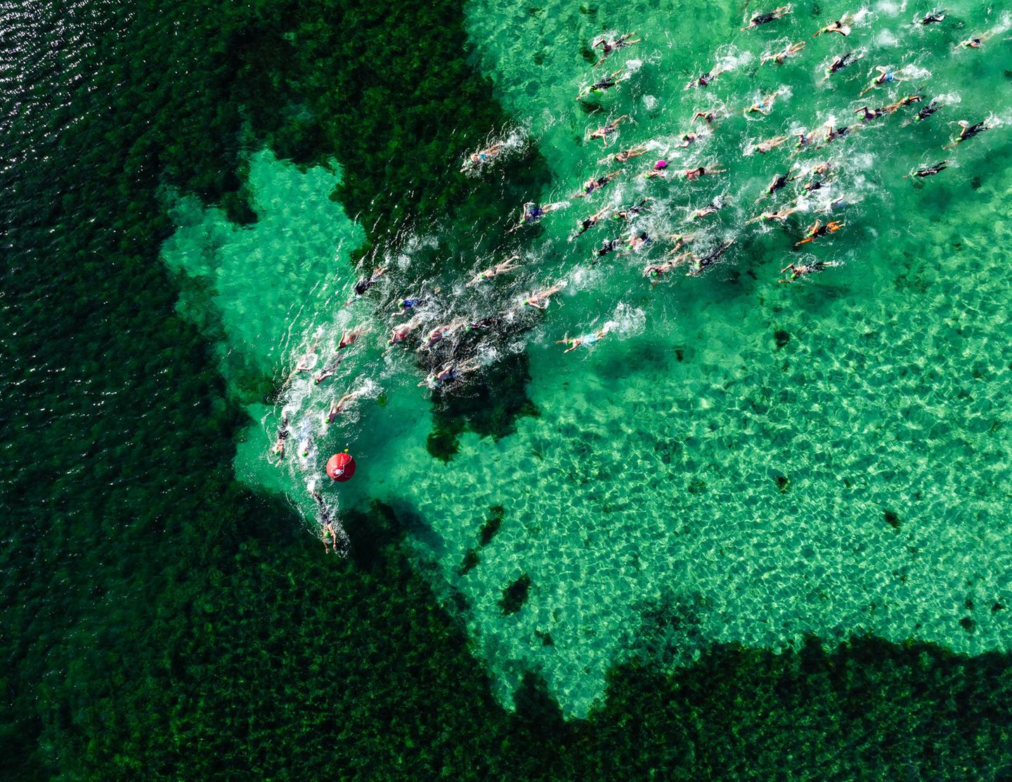 Luftaufnahme der Teilnehmenden des "Geo Bay Cool Water Classic", eines 20 Kilometer langen Schwimmens im klaren Wasser der Geographe-Bucht von Westaustralien. Gestartet sind die Ausdauerathleten im November 2025 in Dunsborough, südlich von Perth, passierten unterwegs Tonnen und Tore und hielten einen Kurs mehr oder weniger parallel zur Küste, angefeuert durch die Musik zahlreicher Beach-Partys.      
