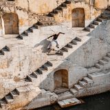 Treppen sind für Skater und Skaterinnen so ähnlich wie die Berge für alle ernst zu nehmenden Rennradbegeisterten: Hindernisse, die man unter die Rollen beziehungsweise Räder nehmen muss. Beim Skaten bedeutet das oft: mit einem mächtigen Satz hinüberfliegen. Oder geschickt auf eine Treppenstufe springen. Dieser Athlet findet in dem alten Stufenbrunnen in Jaipur, Indien, gleich eine ganze verheißungsvolle Auswahl vor. Fast wie in einem Wimmelbild droht dabei allerdings der Trick unterzugehen, den er gerade vollführt: ein "Kickflip", bei dem sich das Brett einmal um die Längsachse dreht.   