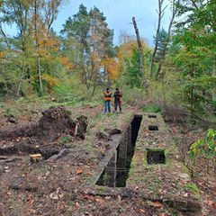Zwei Personen nehmen Bodenmessungen im Wald vor