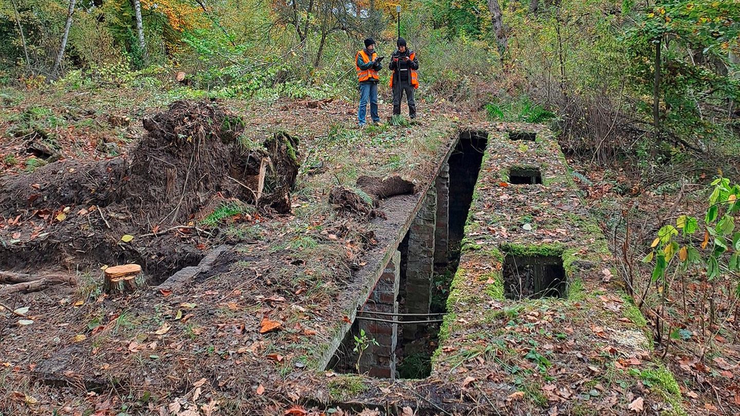 Interview-Arch-ologie-im-KZ-Es-geht-darum-Raubgr-bern-zuvorzukommen-