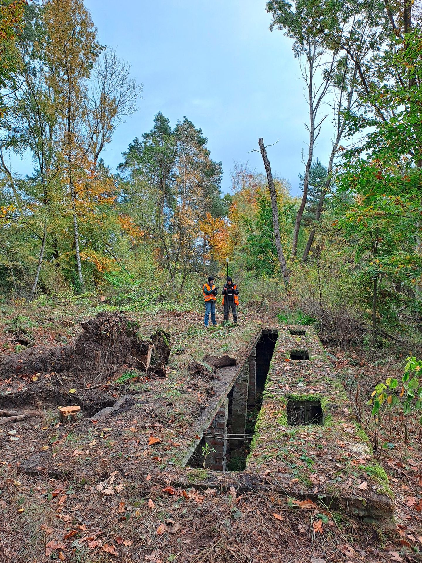 Zwei Personen nehmen Bodenmessungen im Wald vor
