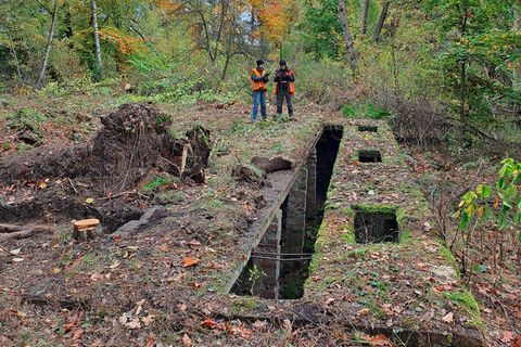 Zwei Personen nehmen Bodenmessungen im Wald vor