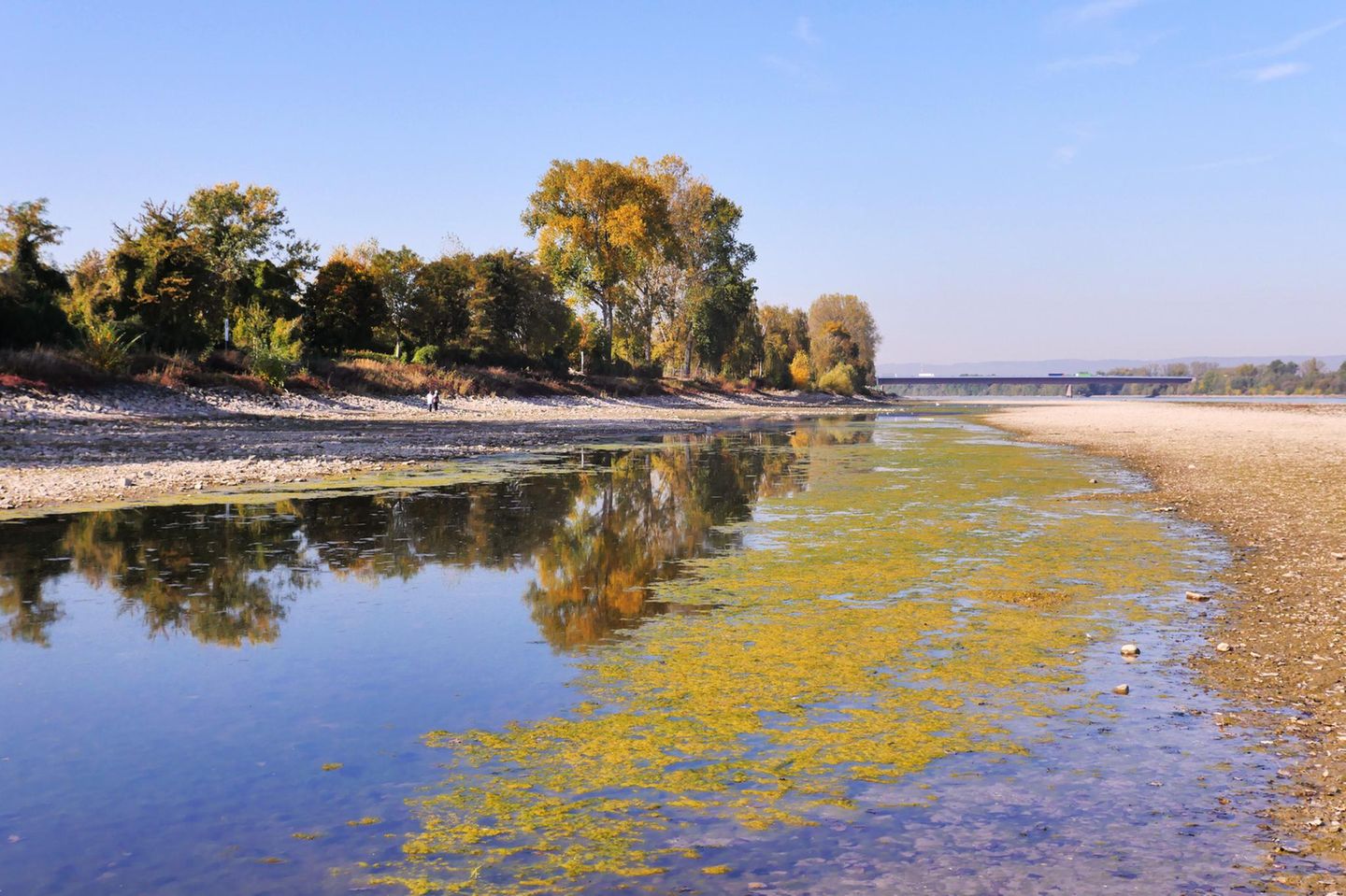 Aufgrund der extremen Trockenheit seit 2018 ist das Flussbett des größten europäischen Wasserwegs, des Rheins, ausgetrocknet, sodass große Sandbänke sichtbar geworden sind