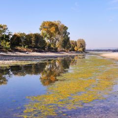 Aufgrund der extremen Trockenheit seit 2018 ist das Flussbett des größten europäischen Wasserwegs, des Rheins, ausgetrocknet, sodass große Sandbänke sichtbar geworden sind