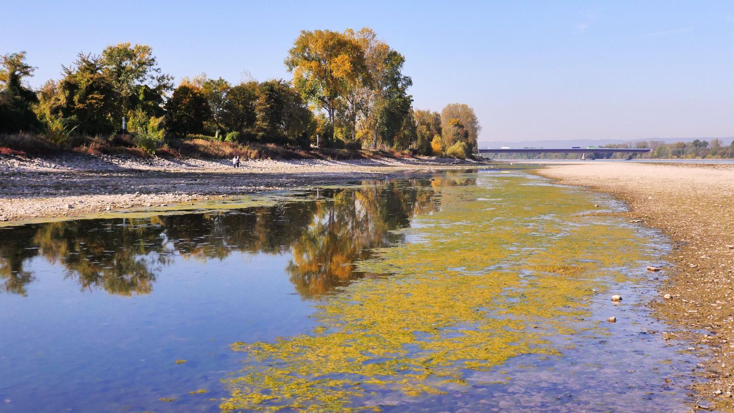 Fehlende-Grundwasserspeicher-Fachleute-warnen-Deutschland-droht-Wasserknappheit