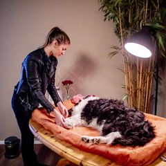 Eine Person steht neben ihrem verstorbenen Hund