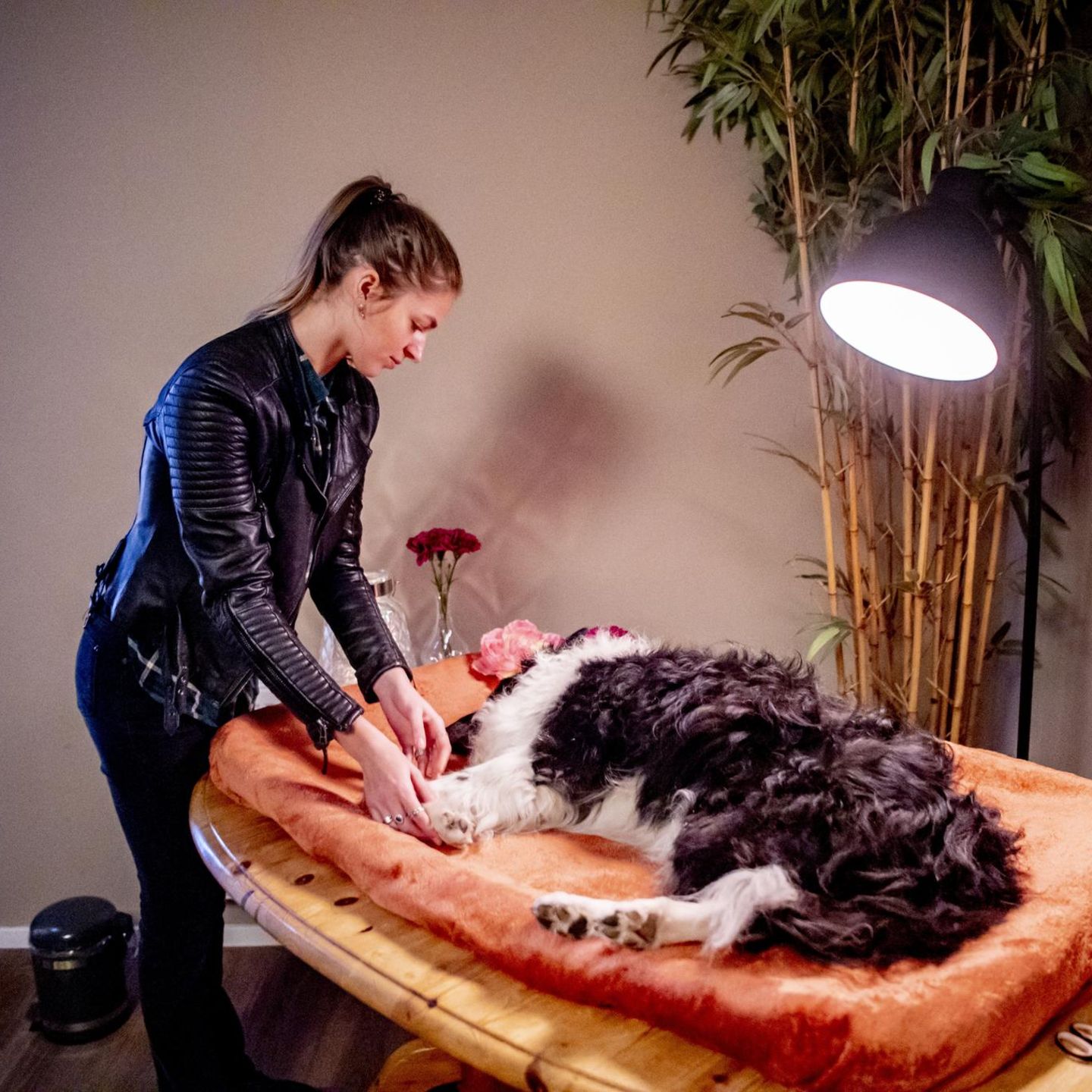 Eine Person steht neben ihrem verstorbenen Hund