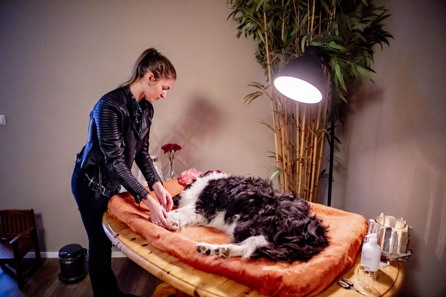 Eine Person steht neben ihrem verstorbenen Hund