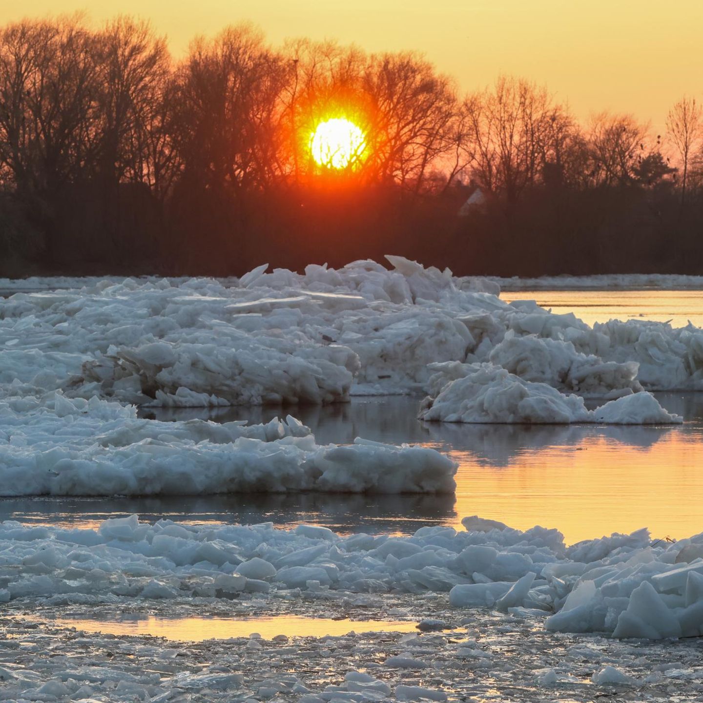 Eisschollen, Geesthacht, 18.01.2026