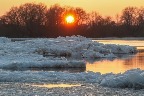 Eisschollen, Geesthacht, 18.01.2026