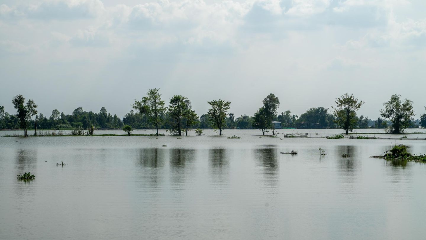 Manche Deltas sind auch immer wieder durch starke Regenfälle überflutet wie hier am Mekong (Aufnahmedatum: November 2025)