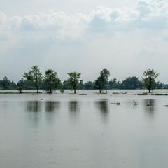 Manche Deltas sind auch immer wieder durch starke Regenfälle überflutet wie hier am Mekong (Aufnahmedatum: November 2025)