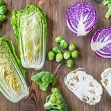 verschiedene Kohlsorten