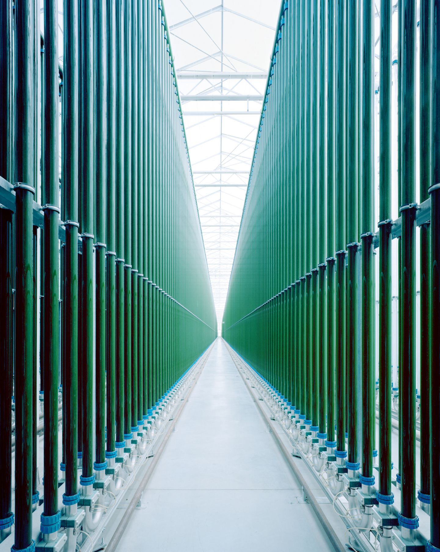 Algen sind als vegane Quelle für Omega-3-Fettsäuren beliebt. Vor allem Mikroalgen werden für Lebensmittel und Nahrungsergänzungsmittel eingesetzt. Rund 20 Tonnen des Superfoods wurden bis Ende 2024 auf einem Hektar ehemaliger Ackerfläche in Niederösterreich produziert – in 43.000 sechs Meter hohen Glasröhren.