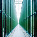 Algen sind als vegane Quelle für Omega-3-Fettsäuren beliebt. Vor allem Mikroalgen werden für Lebensmittel und Nahrungsergänzungsmittel eingesetzt. Rund 20 Tonnen des Superfoods wurden bis Ende 2024 auf einem Hektar ehemaliger Ackerfläche in Niederösterreich produziert – in 43.000 sechs Meter hohen Glasröhren.