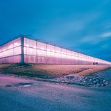 In Kentucky stehen die größten Gewächshäuser der USA, hier wachsen Tomaten, Salate, Erdbeeren und Gurken auf insgesamt 165 Hektar Fläche.