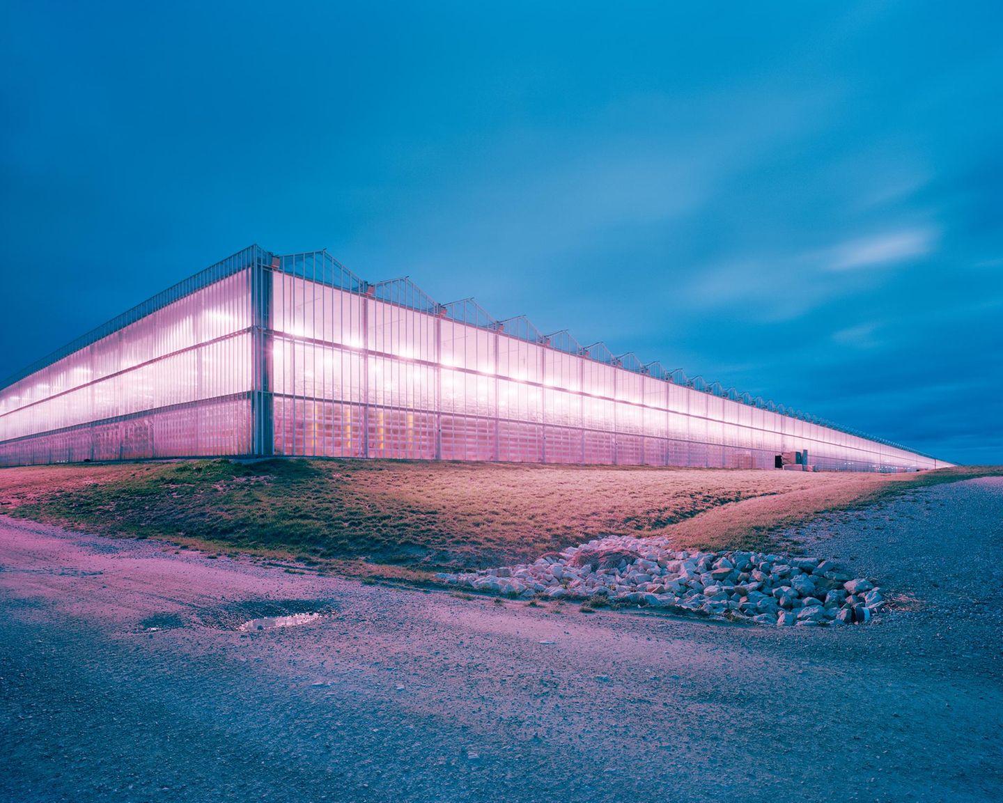 In diesen Gewächshäusern in Kentucky wachsen Tomaten, Salate, Erdbeeren und Gurken auf insgesamt 165 Hektar Fläche.