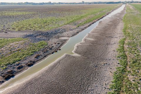 Ausgetrocknete Landschaft in Ungarn (Aufnahme von 2022)
