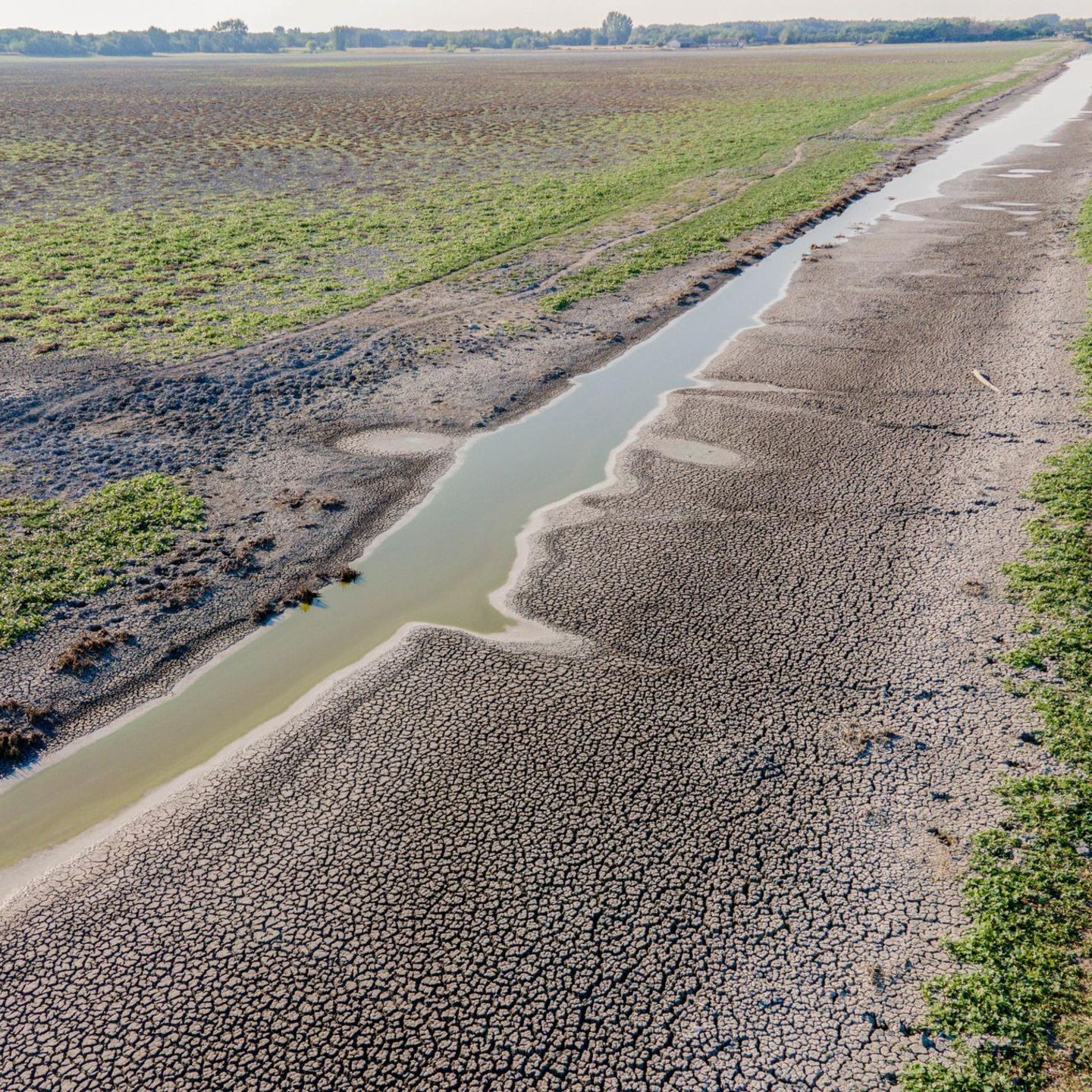 Ausgetrocknete Landschaft in Ungarn (Aufnahme von 2022)