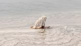 Am Ufer des Toten Meeres, in Jordanien, hockt eine Frau im flachen Wasser und tastet nach Salzsteinen. Beinahe entrückt erscheint die Szene und sie ist Teil einer Jahrtausende alten Tradition: Den Mineralen des hypersalinen Sees wird eine reinigende und heilende Wirkung zugeschrieben. Das Salz soll die Haut beruhigen, die Muskeln entspannen, kleine Wunden versiegeln. In Jordanien gehören Rituale der Pflege und Reinigung für viele zum Alltag, wobei sie heute auch in die Wellnessindustrie und den Tourismus reichen.   Die Aufnahme ist Teil des internationalen „Walk of Water“-Fotowettbewerbs von UNESCO und Onewater. Die ausgezeichneten Bildgeschichten zeigen, wie eng Wasser mit Identität und Kultur verwoben ist – von rituellen Gesten bis zum alltäglichen Überleben.
