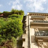 Nur wenige Gehminuten vom Eiffelturm entfernt wird es still: Hier liegt der Garten des etwas sperrig benannten "Musée du quai Branly – Jacques Chirac". Das auf Stelzen gebaute Museum widmet sich Kunst und Kultur aus Afrika, Asien, Ozeanien und Amerika und verschwindet fast hinter der üppigen Vegetation seines Gartens. Auf 18.000 Quadratmetern führen geschwungene Wege über kleine Hügel zu Wasserbecken und zwischen hohen Bäumen hindurch. Über allem wächst die berühmte vertikale Gartenwand des Botanikers Patrick Blanc in die Höhe – eine lebende Fassade aus Tausenden Pflanzen. Vom Café am Ende des Gartens reicht der Blick zurück in die Stadt, direkt hinüber zum Eifelturm.