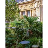 Hinter dem goldenen Tor des Petit Palais wartet mehr als große Kunst von Rembrandt, Monet und Pissarro. Wer den prunkvollen Eingang des Museums der Schönen Künste der Stadt Paris passiert, findet sich in einer friedlichen Oase wieder: Der üppig bepflanzte, halbkreisförmige Innenhof ist unbedingt einen Besuch wert. Palmen, Kirschbäume und hohe Gräser säumen ein gemauertes Wasserbecken, umgeben von einem Säulengang mit kunstvollem Mosaikboden. Für eine gemütliche Auszeit nahe den belebten Champs-Élysées stehen hier sogar Liegestühle bereit. Kaffee und Mittagessen gibt es im Café 1902 am Rand des Gartens. 