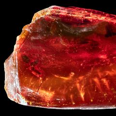 Bernstein mit der eingeschlossenen Ameise