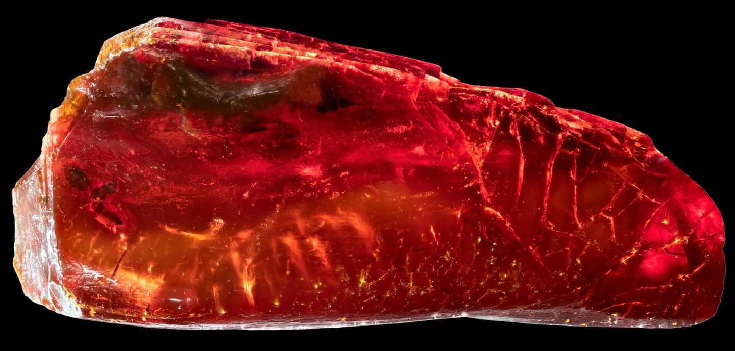 Bernstein mit der eingeschlossenen Ameise